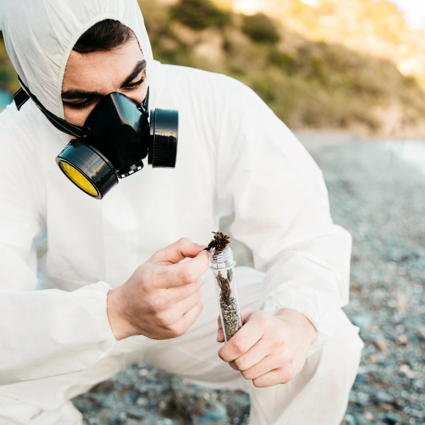 Why Annual Termite Inspection Is Cheaper Than Emergency Repairs