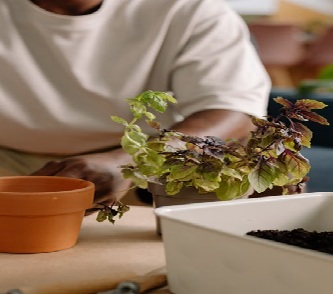 4 Growing Habits That Can Lead to Better Results